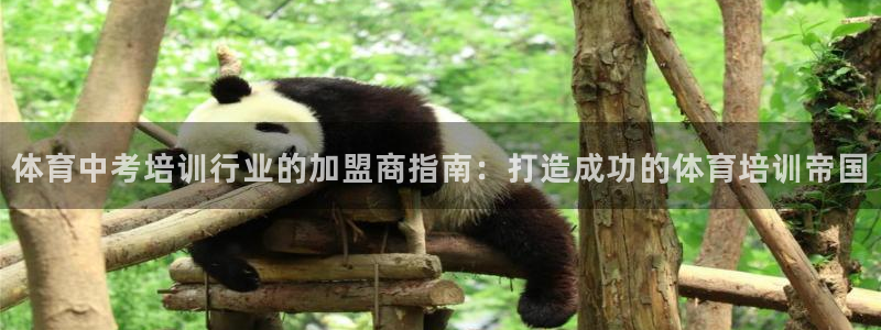 耀世娱乐脚本不死挂机能玩吗：体育中考培训行业的加盟商