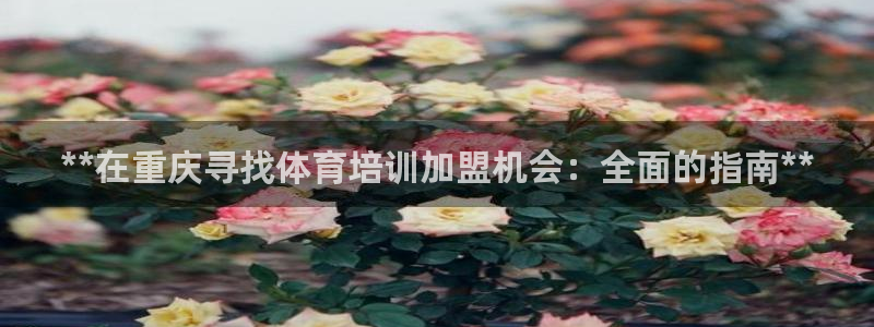 耀世天下搭配一个图片：**在重庆寻找体育培训加盟机会