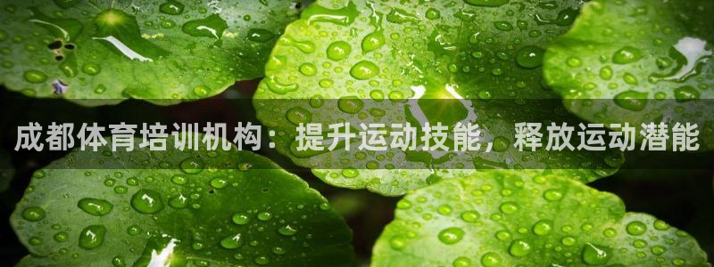 耀世娱乐总代理是谁：成都体育培训机构：提升运动技能，