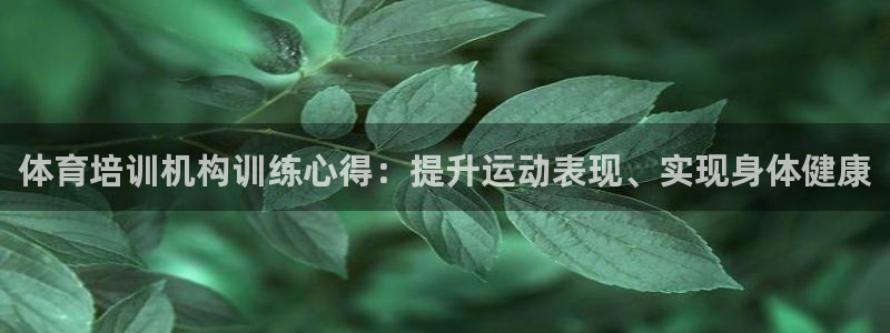 耀世天下的意思：体育培训机构训练心得：提升运动表现、