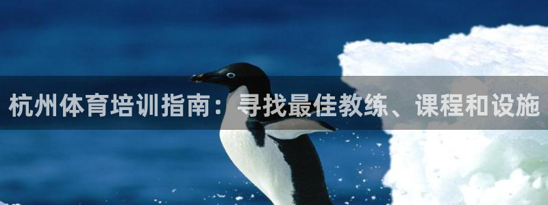 耀世盛典下载：杭州体育培训指南：寻找最佳教练、课程和