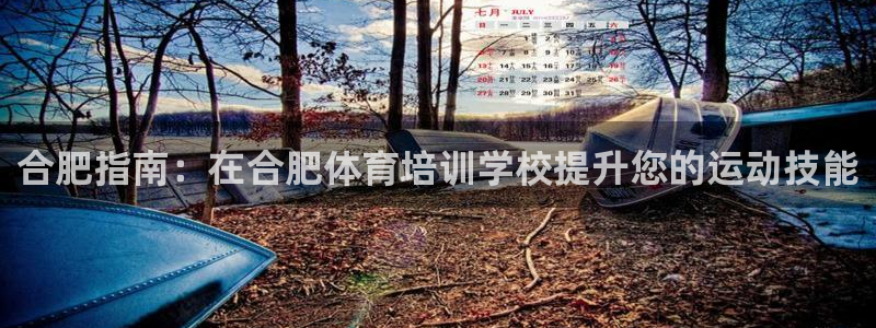 耀世集团董事长抖音是谁：合肥指南：在合肥体育培训学校