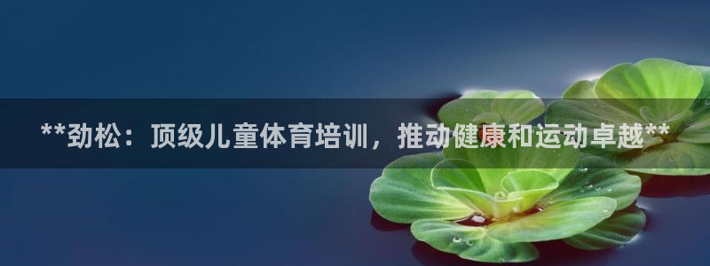 耀世开启什么意思：**劲松：顶级儿童体育培训，推动健