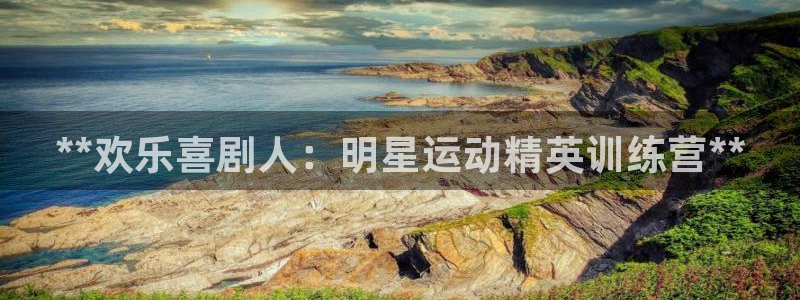 耀世娱乐辅助软件下载官网：**欢乐喜剧人：明星运动精