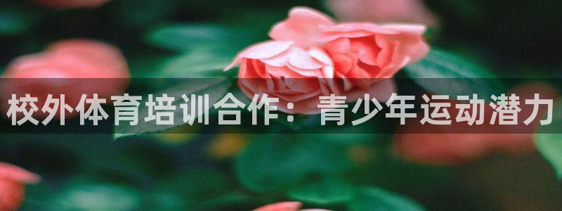 耀世集团员工福利待遇：校外体育培训合作：青少年运动潜