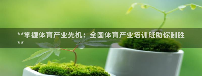 耀世娱乐官网网站下载：**掌握体育产业先机：全国体育