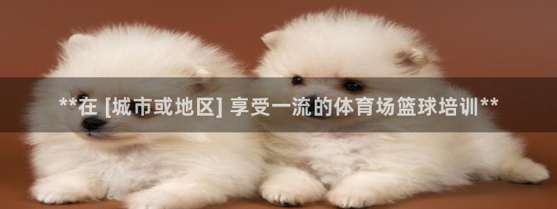 耀世官方网站：**在 [城市或地区] 享受一流的体育