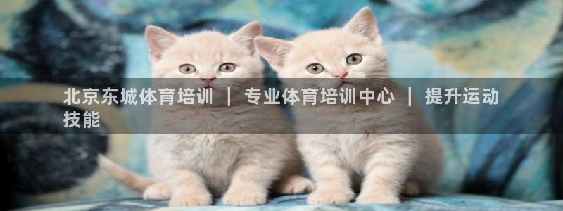 耀世盛典官网入口：北京东城体育培训 ｜ 专业体育培训