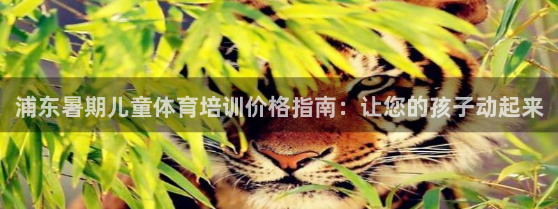 耀世娱乐如何登录账号啊：浦东暑期儿童体育培训价格指南