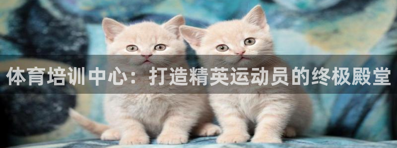 耀世娱乐平台主管：体育培训中心：打造精英运动员的终极