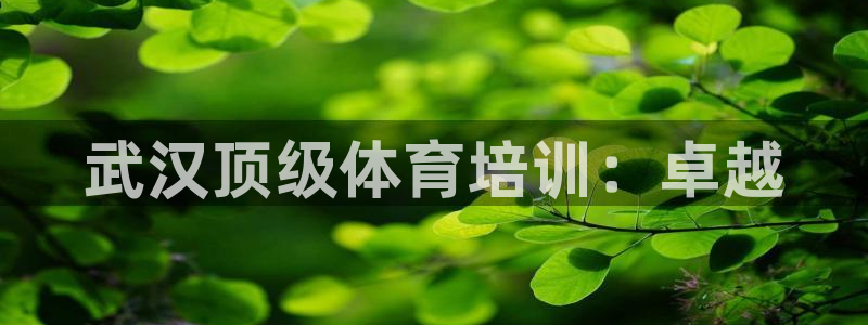 耀世集团小视频：武汉顶级体育培训：卓越