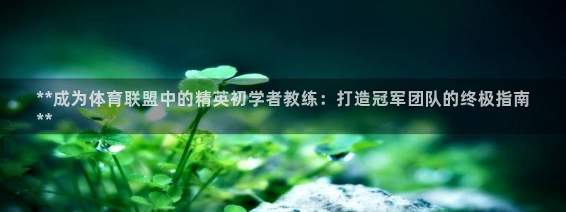 耀世平台升 5O6917 平台：**成为体育联盟中的