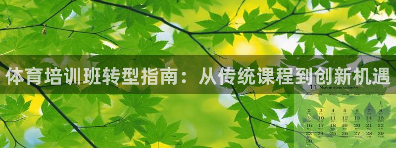 耀世娱乐脚本下载：体育培训班转型指南：从传统课程到创