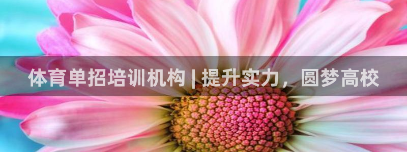耀世集团商业联盟官网：体育单招培训机构 | 提升实力
