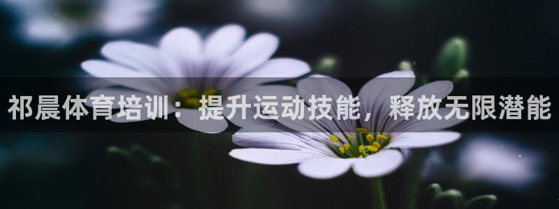 耀世娱乐注册官网网址：祁晨体育培训：提升运动技能，释