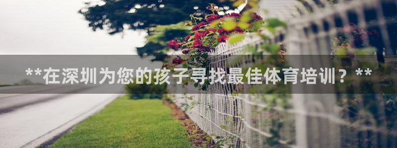 耀世平台注册开户要求：**在深圳为您的孩子寻找最佳体