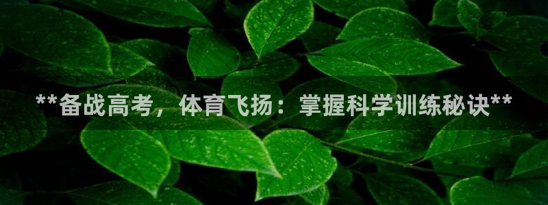 耀世集团罗文斌：**备战高考，体育飞扬：掌握科学训练