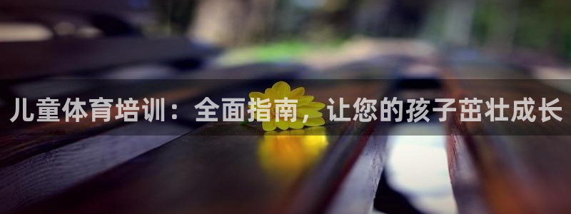 耀世集团是什么电影里的人物：儿童体育培训：全面指南，