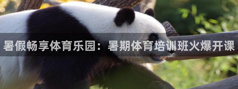 耀世娱乐怎么注册账号：暑假畅享体育乐园：暑期体育培训