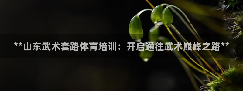 耀世娱乐如何登录平台账户：**山东武术套路体育培训：