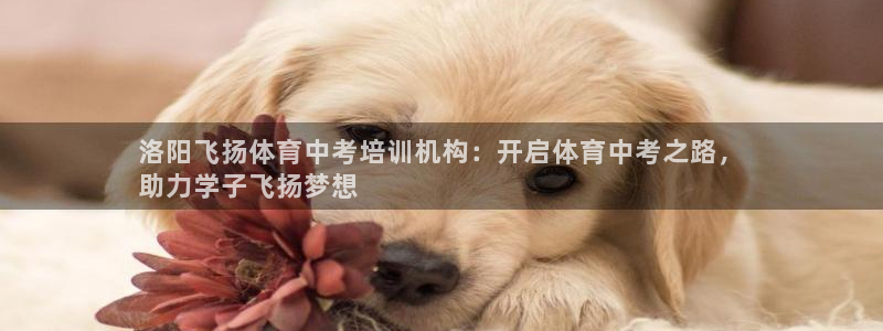 耀世国际平台正规吗安全吗可靠吗：洛阳飞扬体育中考培训