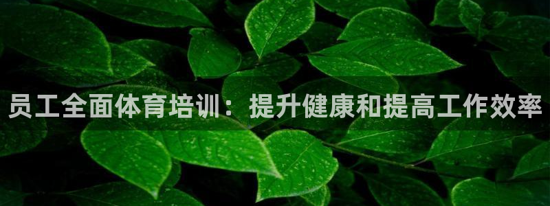 耀世平台木 5o69I7：员工全面体育培训：提升健康