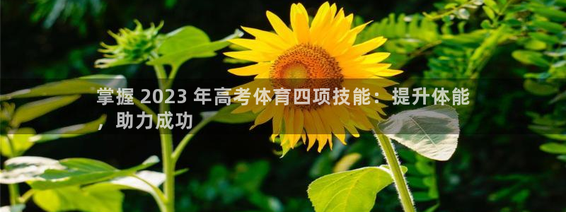 耀世盛典官网下载：掌握 2023 年高考体育四项技能：提升体