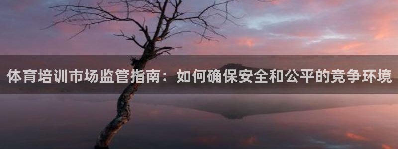 耀世集团是什么电影：体育培训市场监管指南：如何确保安