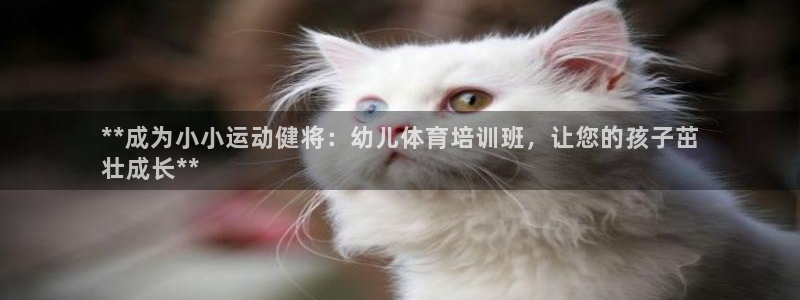 耀世盛典手游：**成为小小运动健将：幼儿体育培训班，