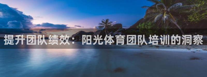 耀世登场的图片：提升团队绩效：阳光体育团队培训的洞察
