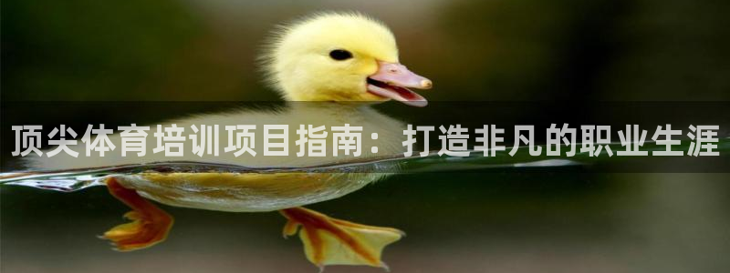 耀世娱乐平台官网下载：顶尖体育培训项目指南：打造非凡