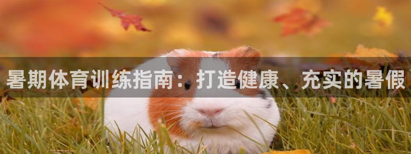 耀世集团罗文斌：暑期体育训练指南：打造健康、充实的暑