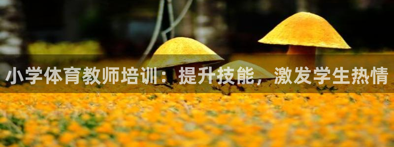 耀世集团董事长：小学体育教师培训：提升技能，激发学生