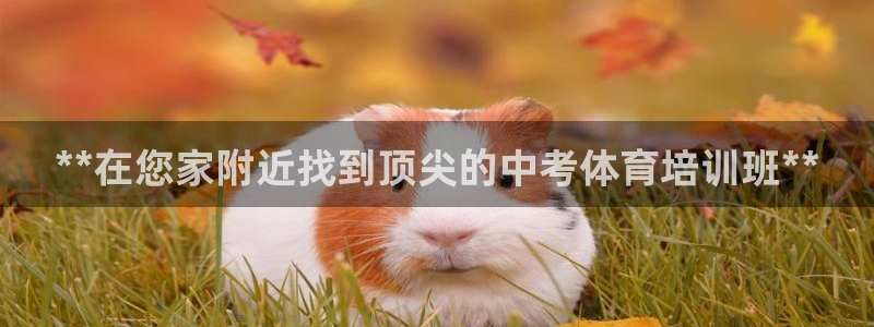 耀世平台必7O777：**在您家附近找到顶尖的中考体育培训班