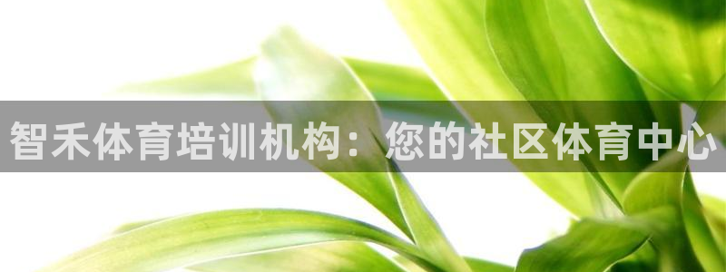 耀世娱乐平台注册登录失败：智禾体育培训机构：您的社区