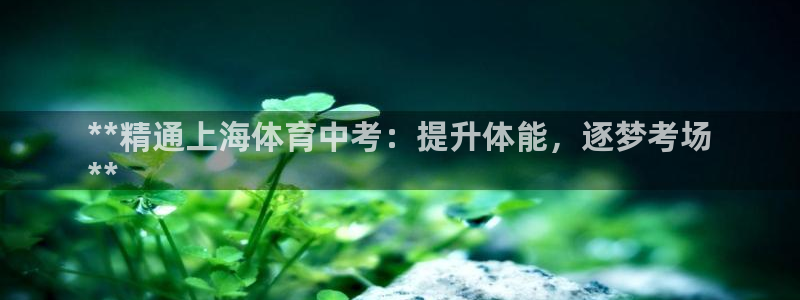 耀世平台注册链接失败：**精通上海体育中考：提升体能