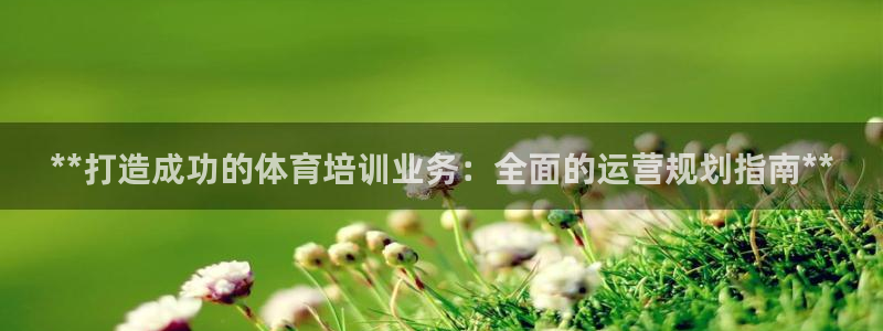 耀世游戏：**打造成功的体育培训业务：全面的运营规划