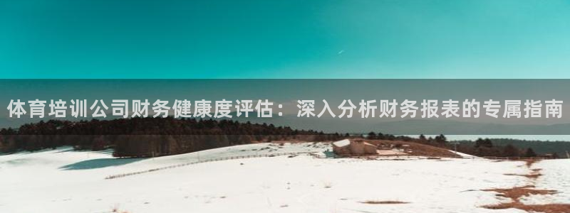 耀世平台主管：体育培训公司财务健康度评估：深入分析财