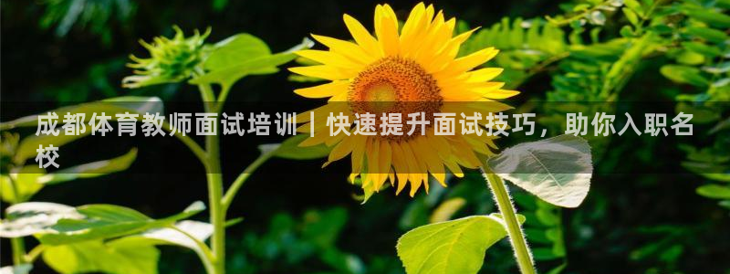 耀世登场的图片：成都体育教师面试培训｜快速提升面试技