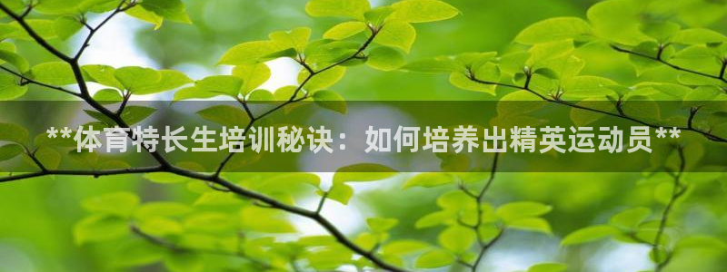 耀世娱乐能不能提现到支付宝：**体育特长生培训秘诀：