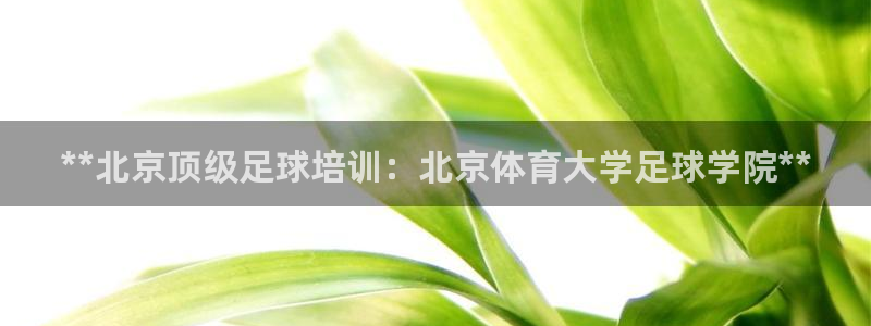 耀世娱乐注册开户要钱吗：**北京顶级足球培训：北京体育大学足