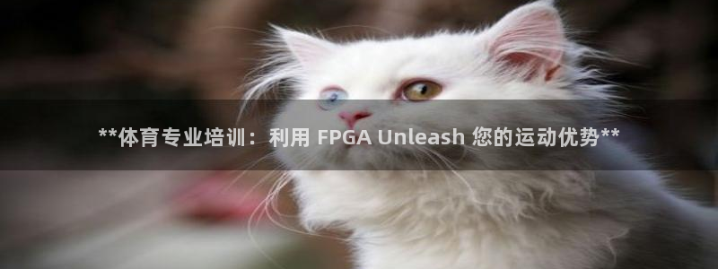 耀世传媒好吗：**体育专业培训：利用 FPGA Un
