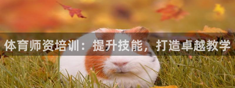 耀世登场的近义词：体育师资培训：提升技能，打造卓越教