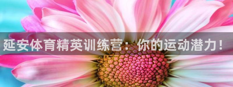 耀世娱乐在线登录官网入口下载：延安体育精英训练营：你的运动潜