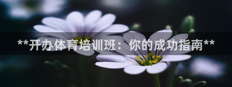 耀世国际集团是国企吗：**开办体育培训班：你的成功指