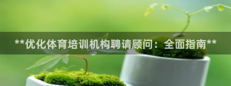 耀世盛启什么意思：**优化体育培训机构聘请顾问：全面