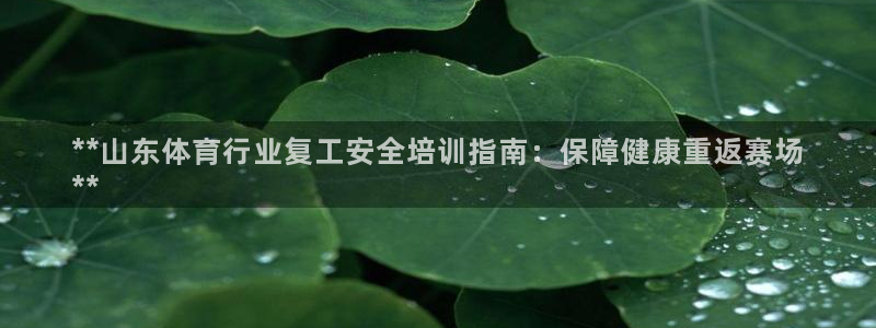 耀世平台有很多登录地址：**山东体育行业复工安全培训