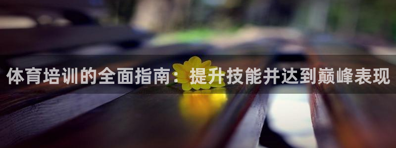 耀世娱乐好不好：体育培训的全面指南：提升技能并达到巅