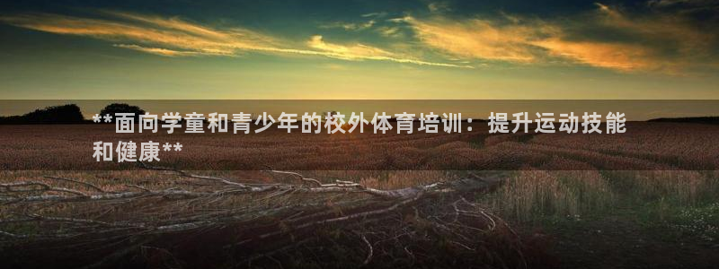 耀世微光简谱：**面向学童和青少年的校外体育培训：提