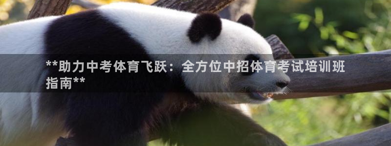 耀世娱乐是正规还是仿真：**助力中考体育飞跃：全方位中招体育